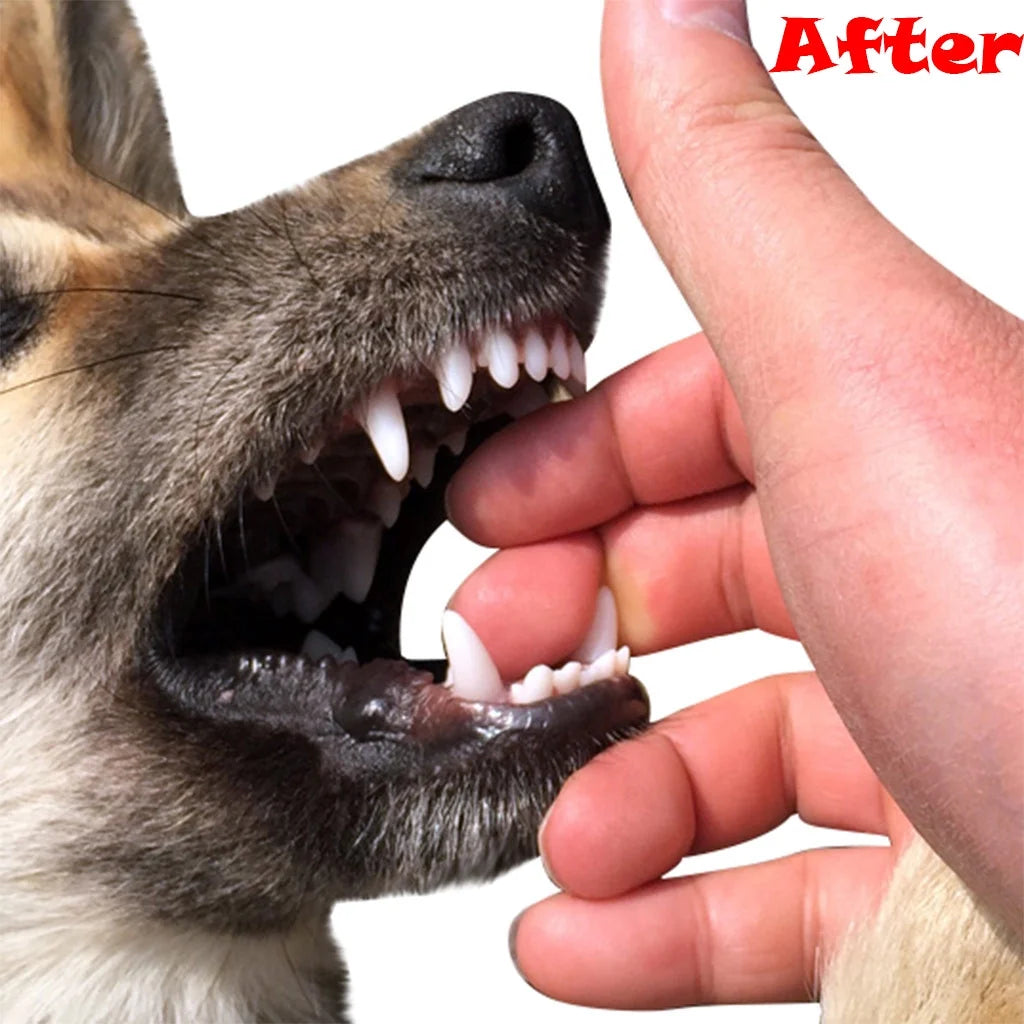 Verpetridure Clearance Dog Chew Toys for Aggressive Chewers,Treat Dog Dispensing Slow Feeder Durable Rubber Teeth Cleaning Tough Dog Puzzle Toys,Interactive Squeaky Dog Toy for Small/Medium Dogs"