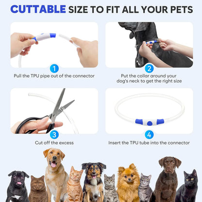 LED Dog Collar Waterproof Rechargeable - Bright TPU Light up Pet Collars, Reflective Adjustable Dog Glow Collar, Dog Safety Collar Light for Small Medium Large Dogs Night Walking&Camping